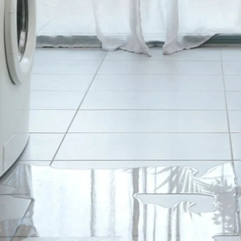 Appliance Leak Cleanup in Selah, WA