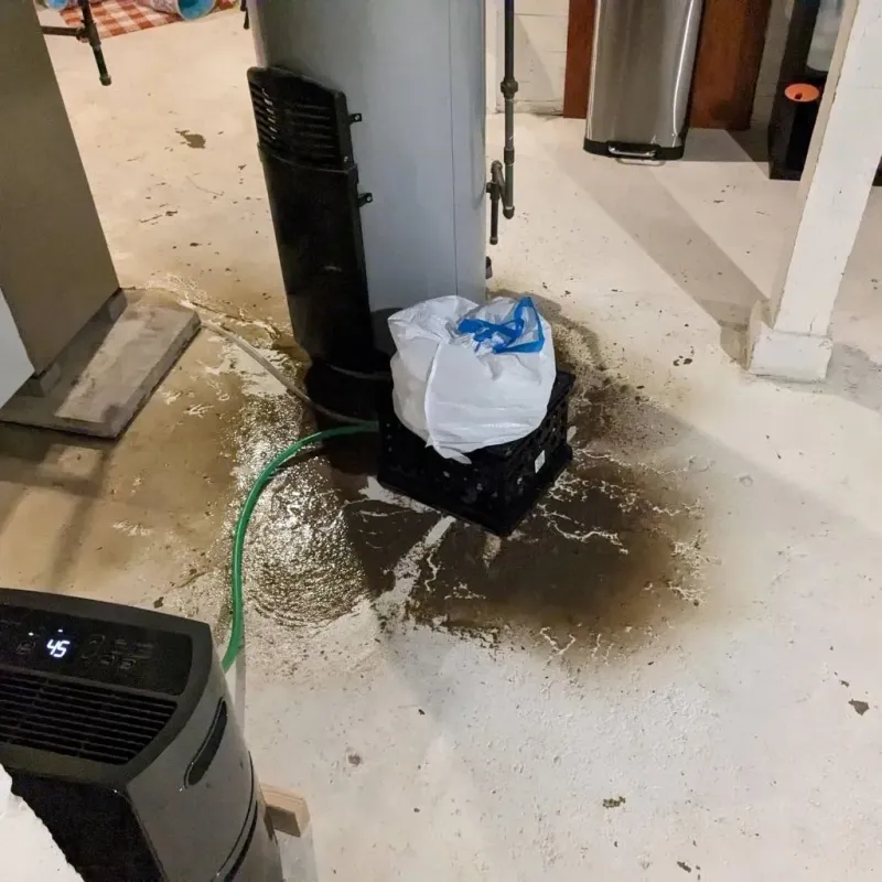 Sewage Backup Cleanup Service in Selah, WA